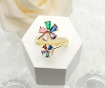 [HRR0750484] Anillo 9