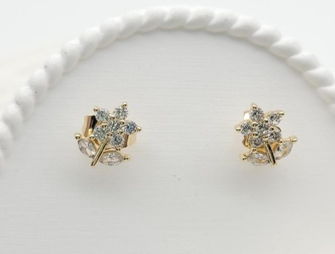 [HHE06002359] Arete 1